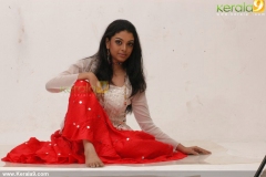 malayalam_actress_radhika_photoshoot-01667
