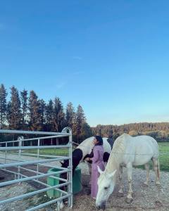 rajisha-vijayan-new-photos-with-horse-002