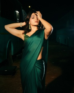 rashmika-mandanna-in-saree-photos-013