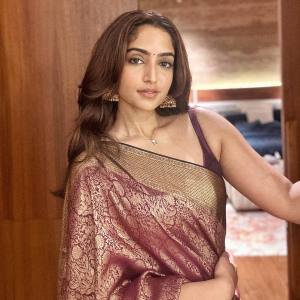 reba-john-in-saree-images-003