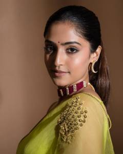 reba-monica-john-in-pista-green-net-saree-look-photos-006
