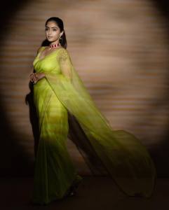 reba-monica-john-in-pista-green-net-saree-look-photos-007