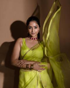 reba-monica-john-in-pista-green-net-saree-look-photos-008