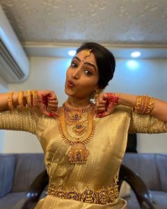 reba-monica-john-saree-photos-001