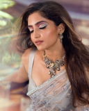 reba-monica-john-latest-photos-in-transparent-saree-002