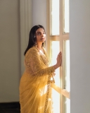remya-nambeesan-in-golden-colour-saree-photos-003