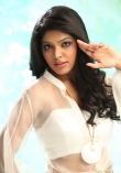 9229rima_kallingal_images_785-001