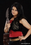 9644actress_roma_asrani_pics_33-004