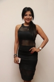 actress-sakshi-agarwal-photos-00269