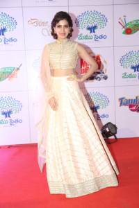 samantha-stills-at-memu-saitam-dinner-with-stars-1112