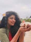 samyukta-hornad-new-photos-001