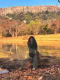 samyukta-hornad-new-photos-003