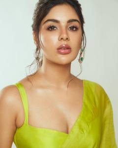 samyuktha-menon-in-green-saree-look-photos-001