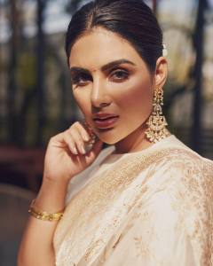 samyuktha-menon-in-net-material-saree-dress-photos-003