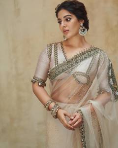 samyuktha-menon-in-sandal-colour-net-saree-with-blouse-photos-001