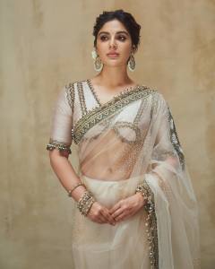 samyuktha-menon-in-sandal-colour-net-saree-with-blouse-photos-003