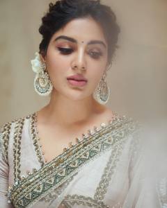 samyuktha-menon-in-sandal-colour-net-saree-with-blouse-photos-004