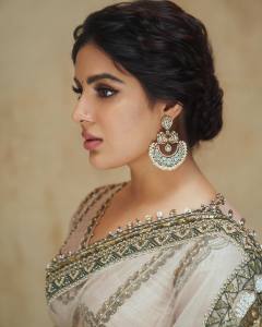 samyuktha-menon-in-sandal-colour-net-saree-with-blouse-photos-006