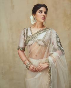 samyuktha-menon-in-sandal-colour-net-saree-with-blouse-photos-007