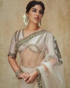 samyuktha-menon-in-sandal-colour-net-saree-with-blouse-photos-009