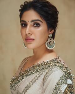 samyuktha-menon-in-sandal-colour-net-saree-with-blouse-photos