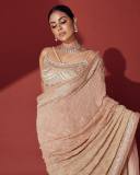 celebrity-samyuktha-menon-new-photos-in-Champagne-colour-saree-with-ornaments-004