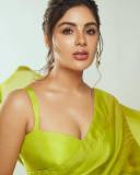samyuktha-menon-in-green-saree-look-photos