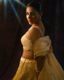 samyuktha-menon-in-lehenga-and-heavy-work-ornament-with-modern-elegance-001