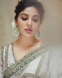 samyuktha-menon-in-sandal-colour-net-saree-with-blouse-photos-004