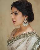 samyuktha-menon-in-sandal-colour-net-saree-with-blouse-photos-006