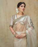 samyuktha-menon-in-sandal-colour-net-saree-with-blouse-photos-007