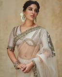 samyuktha-menon-in-sandal-colour-net-saree-with-blouse-photos-009