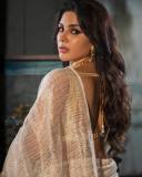 samyuktha-menon-in-sandal-colour-net-saree-with-blouse-photos-010