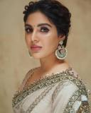 samyuktha-menon-in-sandal-colour-net-saree-with-blouse-photos