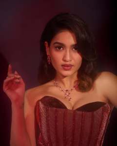 saniya-iyappan-in-wine-red-gown-dress-photos-002