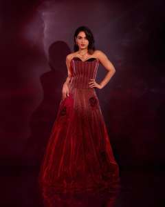 saniya-iyappan-in-wine-red-gown-dress-photos-003