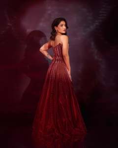 saniya-iyappan-in-wine-red-gown-dress-photos-004