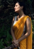 actress saniya iyappan in yellow saree pics