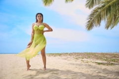 saniya-iyappan-beach-photoshoot-in-green-colour-dress-001