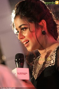 shamna-kasim-new-images-00579