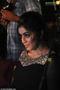 shamna-kasim-new-stills-00379