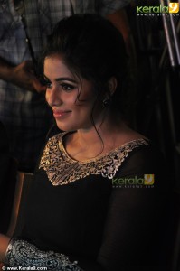 shamna-kasim-new-stills-00594