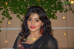 shamna-kasim-photos-0040