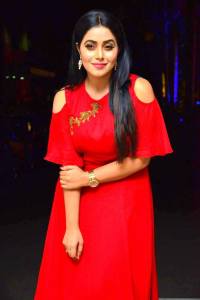shamna-kasim-photos-147-0100