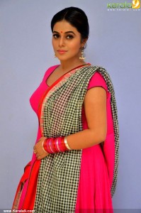 shamna-kasim-photos-14777