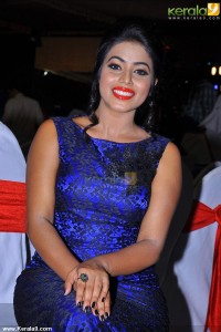 shamna-kasim-photoshoot-03684