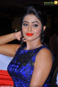 shamna-kasim-photoshoot-03789