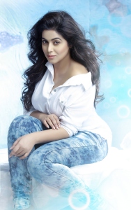 shamna-kasim-pictures-12734