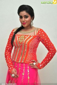 shamna-kasim-pictures-670-00173