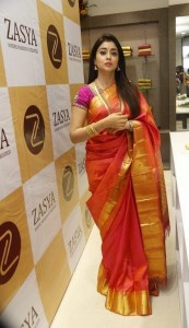 shriya-saran-images-download11-00161